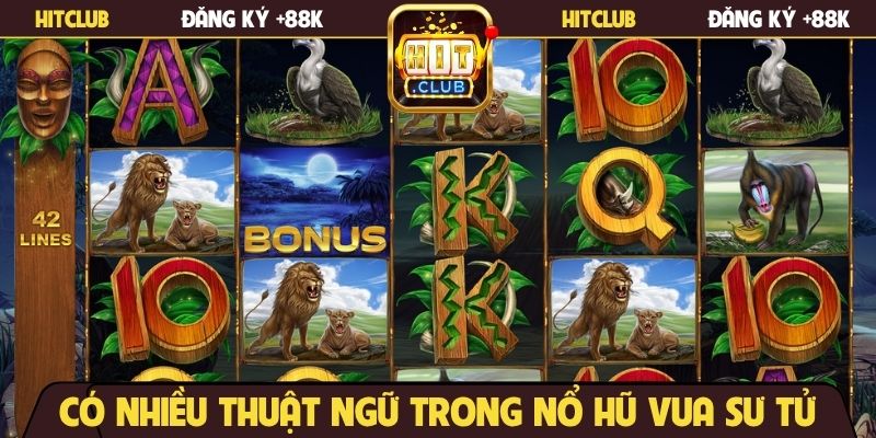 Có nhiều thuật ngữ trong nổ hũ Vua Sư Tử