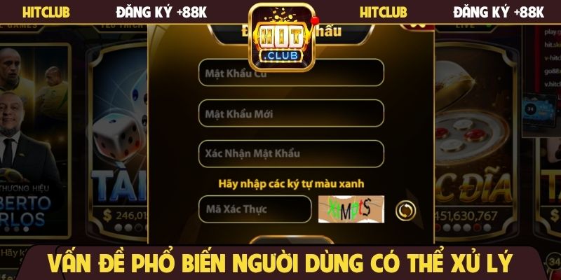 Vấn đề phổ biến người dùng có thể xử lý